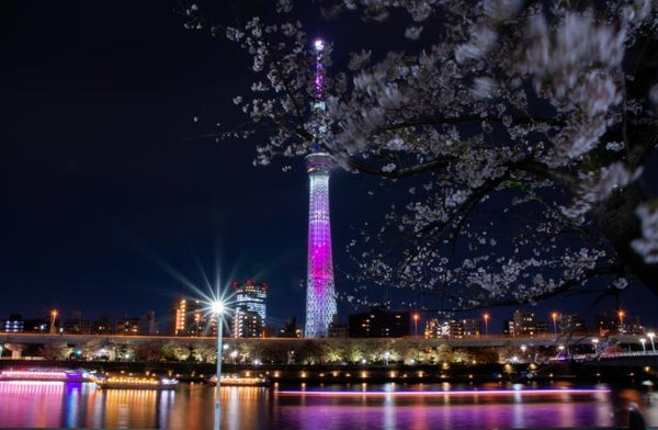 【浅草下車】夜桜deナイト☆TOKYOお花見バス☆オープントップバスで桜の名所をハイライトで巡る車窓観光ショートトリップ!(17:50出発)1